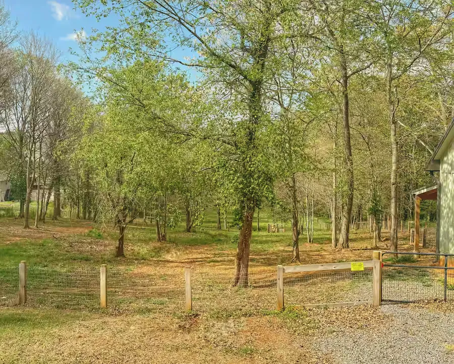 Open wooded ground beside the cottage, a fence line running back through the trees